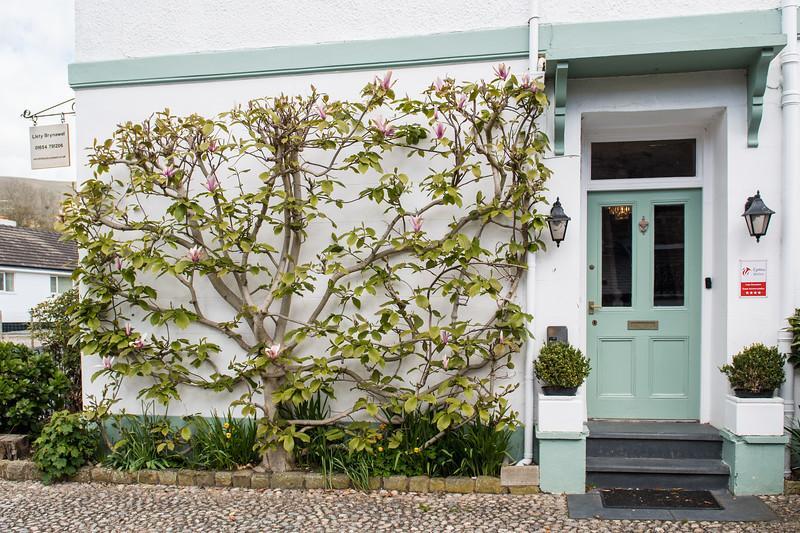 Llety Brynawel Guest House Pennal Exterior foto